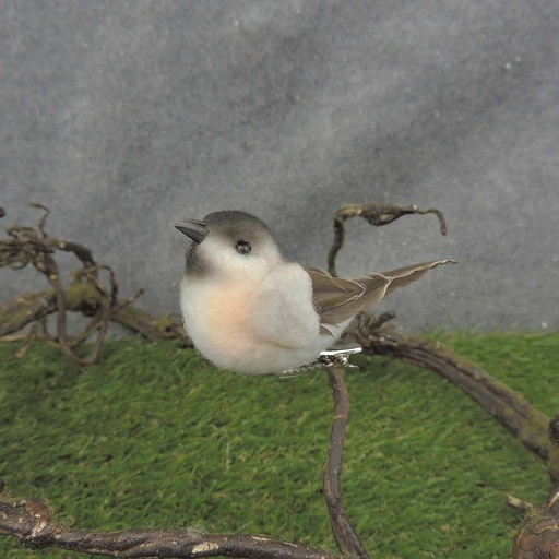 [BN7033] CHICKADEE 3.5" COTTON/FEATHER W/CLIP