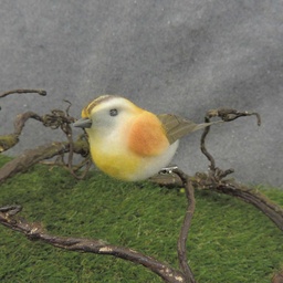 [BN7034] BIRD 4" COTTON/FEATHER W/CLIP GOLD/YELLOW