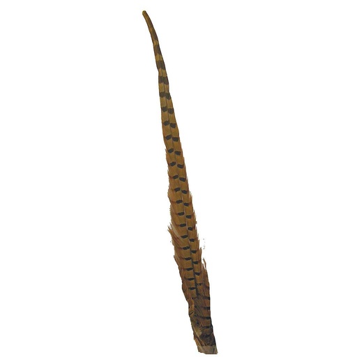 [BF-7] FEATHERS PHEASANT 16"-18"  (6 PC PK)