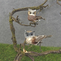 [BN7005] OWLS 3.5" BROWN MUSH/FEA 2-ASST W/CLIP