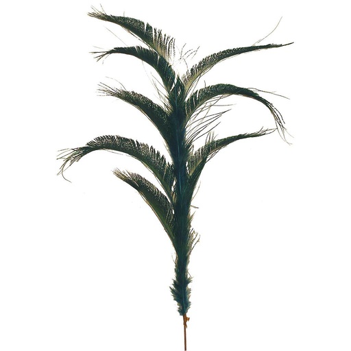 [BF-43] FEATHERS PEACOCK SIDE SPRAY x9  (4/BAG)