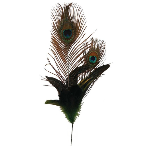 [BF-72] 22" FEA SPRAY w/2 PEACOCK EYES (6 PC/BG)