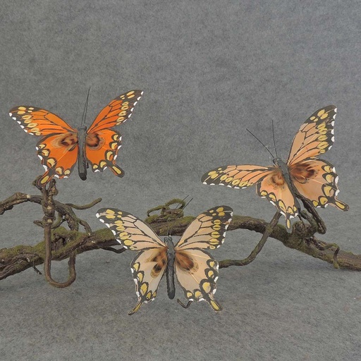 [BN502WIR-ORG] 4" FEA BUTTERFLY 3-ASST W/WIRE ORANGE