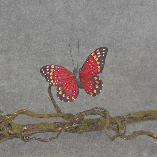[BN5137-BEA] BUTTERFLY W/CLIP  4"  BEAUTY