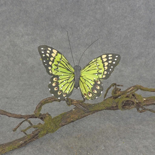 [BN5137-GRN] BUTTERFLY W/CLIP  4"  GREEN