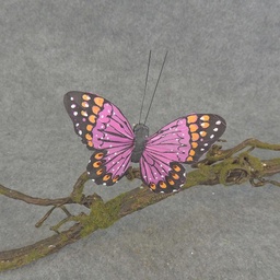 [BN5137-LAV] BUTTERFLY W/CLIP  4&quot;  LAVENDER