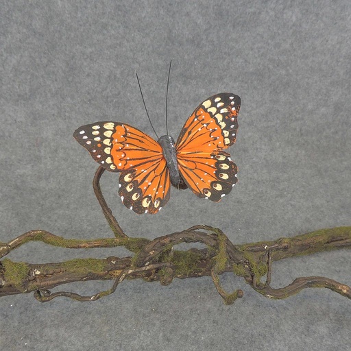 [BN5137-ORG] BUTTERFLY W/CLIP  4"  ORANGE