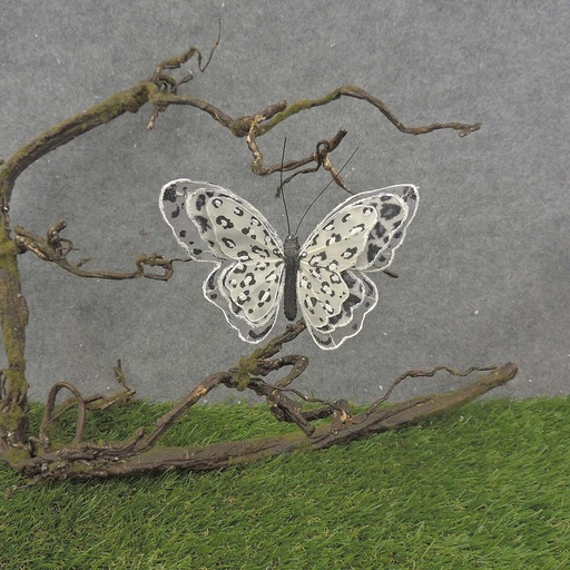 [BN7023] BUTTERFLY 5" BLACK/WHITE W/CLP LEOPARD PRINT