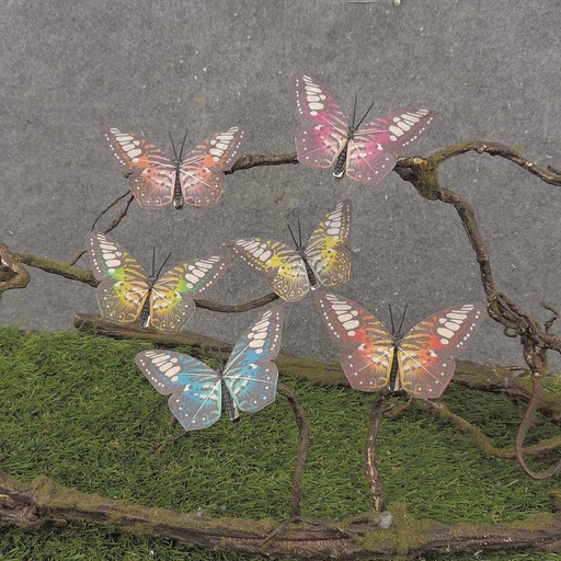 [BY9004] BUTTERFLY 3.5" STRIPE 6/AST ON CLIP (FEATHER)