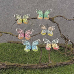 [BY9013] BUTTERFLY 3.5" TRICOLOR 6/AST ON WIRE (FEATHER)