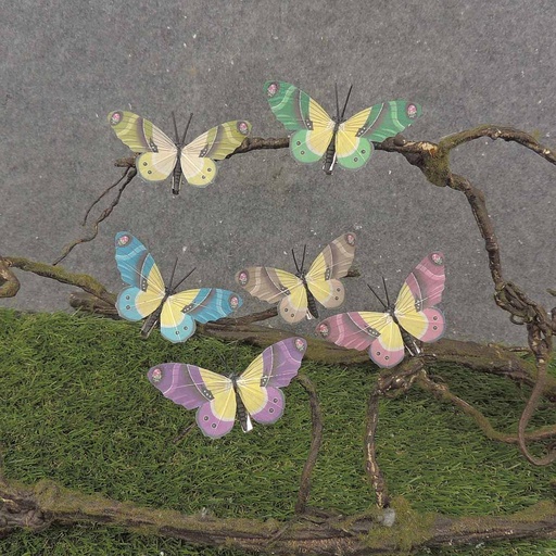 [BY9016] BUTTERFLY 3.5" 6/AST W/CLIP YELLOW CTR (FEATH
