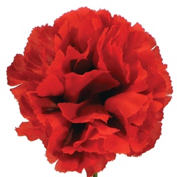 [S270013A-100RED] CARNATION PICK LARGE RED (100/BOX)
