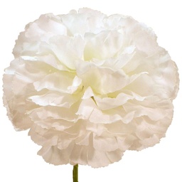 [S270013A-100WHT] CARNATION PICK LARGE WHT (100/BOX)