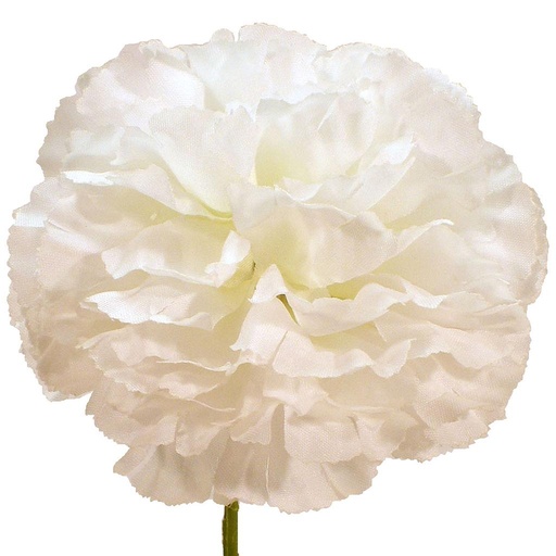 [S270013A-100WHT] CARNATION PICK LARGE WHT (100/BOX)