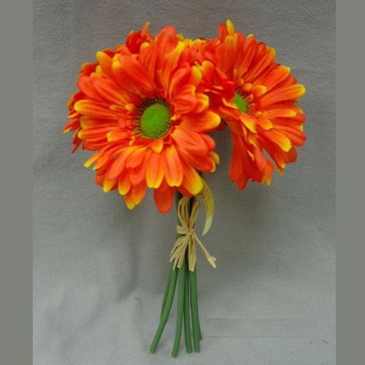 [S4931-ORG] GERBERA LARGE 10.5" BUNDLE X6  ORANGE