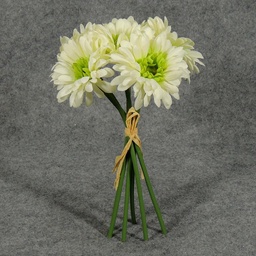 [S4932-CGN] GERBERA MEDIUM 10.5&quot; BUNDLE X6  CREAM/GREEN