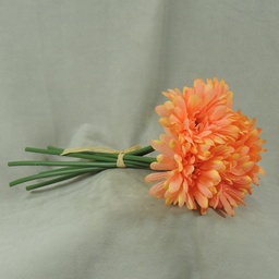 [S4932-PCH] GERBERA MEDIUM 10.5&quot; BUNDLE X6  PEACH