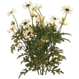 [S505-CPK] DAISY MINI BUSH X5 CREAM PINK