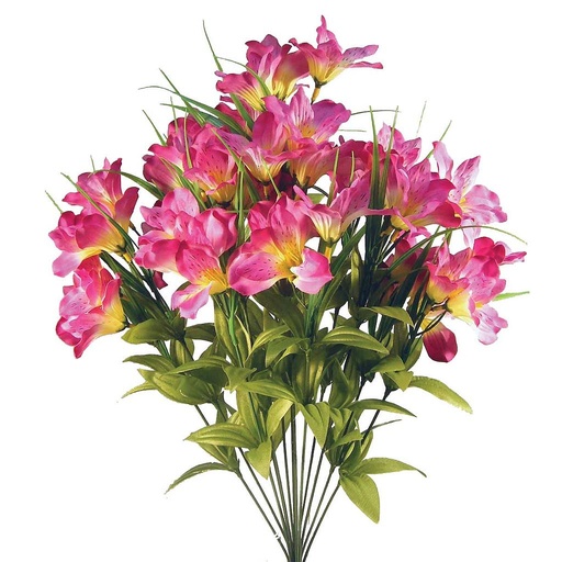 [S025-FUS] ALSTROMERIA BUSH X14 FUSCHIA