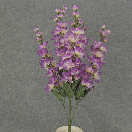 [S057] DELPHINUM BUSH X5 PURPLE