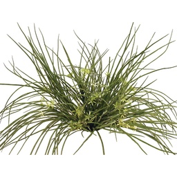 [S116918] GRASS BUSH X9 GYPSO FLOCKED