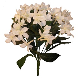 [S16596-CRM] STEPHANOTIS BUSH X12 CRM/WHITE