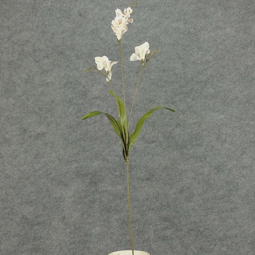 [S2565-BWT] FREESIA SPRAY X 21  BRIDAL WHT  BRIGHT WHITE
