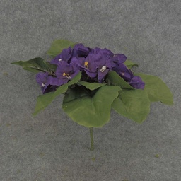 [S319-PUR] AFRICAN VIOLET PICK PURPLE  PURPLE