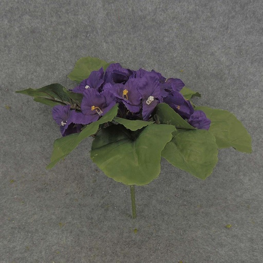[S319-PUR] AFRICAN VIOLET PICK PURPLE  PURPLE