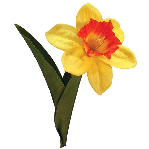 [S393381-OYL] DAFFODIL 20" SPRAY X 1 ORG/YEL (6 PC BAG)