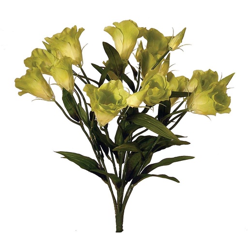 [S4300-GRN] LISIANTHUS 20" GREEN BUSH X9