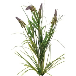 [S513198-PUR] BLOSSOM-MASCARI BUSH X5
