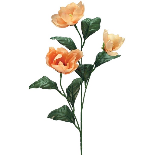 [S592447A-CRP] MAGNOLIA SPRAY 3 X CREAM PEACH