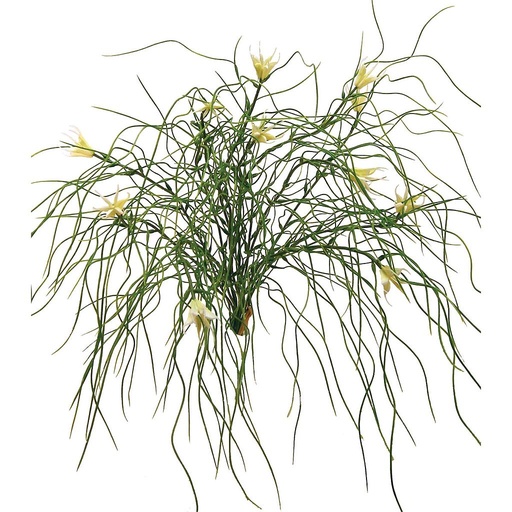 [S600330-CRM] GRASS BUSH X12 W/WILD FLOWERS