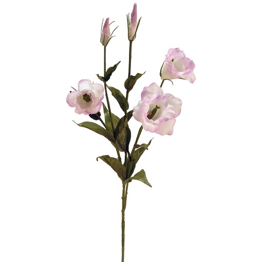 [S691762-WPUR] LISIANTHUS 31" SPRAY X 4
