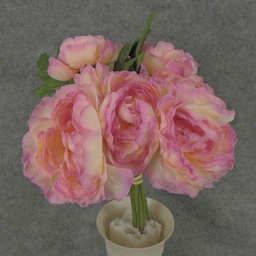 [S85131-CPK] RANUNCULUS BOKAY 11&quot; X10  CREAM/PINK