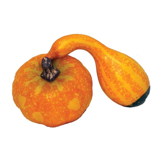 [F2313] PUMPKIN GOURD MINI ASSORTMENT (12 PCS/BG)