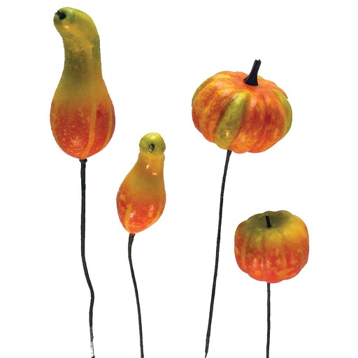 [F6395] PUMPKIN & GOURD AST MINI (24/BOX)