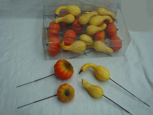 [S100258-AST] PUMPKIN & GOURD 4 ASST (24/BOX)