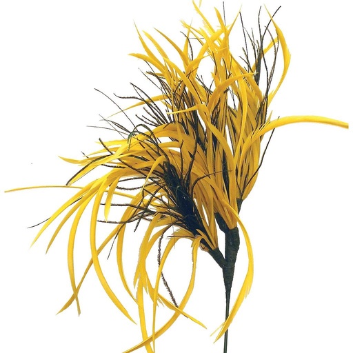 [BF321917-YEL] FEATHER SPRAY X 4  YELLOW (12 BANDED)