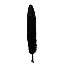 [BF42-BLK] 4" BLACK GLITTER FEATHERS