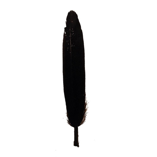 [BF42-BLK] 4" BLACK GLITTER FEATHERS