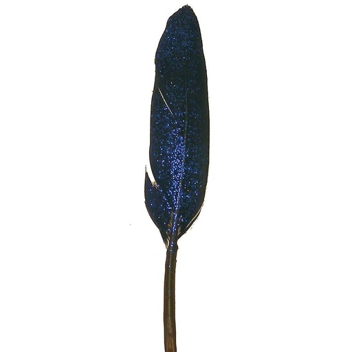 [BF42-BLU] 4" BLUE GLITTER FEATHERS