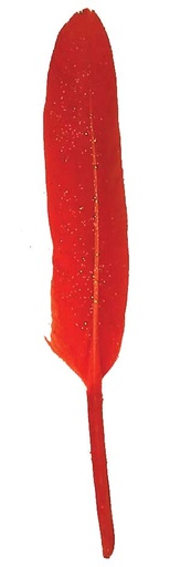 [BF42-RED] 4" RED GLITTER FEATHERS