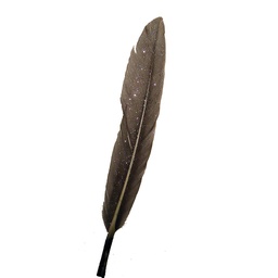 [BF42-SIL] 4" SILVER GLITTER FEATHERS