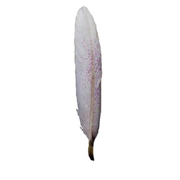 [BF42-WHT] 4" WHITE GLITTER FEATHERS
