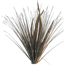 [BF650557-BRN] 28" FEATHER/ONION GRASS BUSH  BROWN