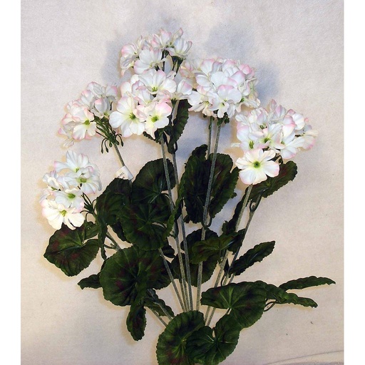[S100067-WHT] GERANIUM BUSH X12 WHITE  21" W/PINK