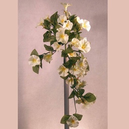 [S4427-WHT] PETUNIA HANGING VINE BUSH x14  WHITE