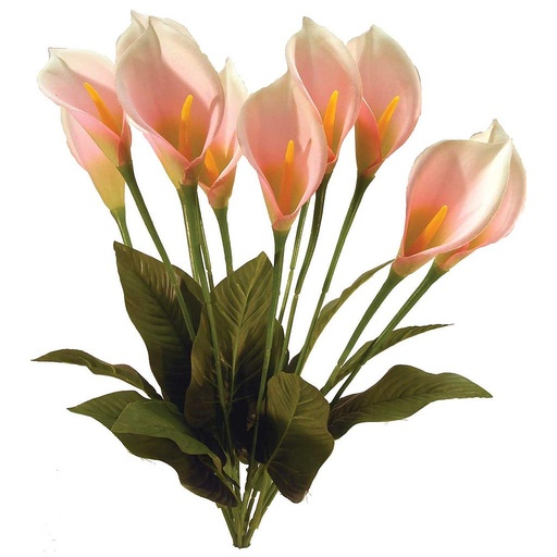 [S21631-PNK] CALLA LILY PINK 24" BUSH X12